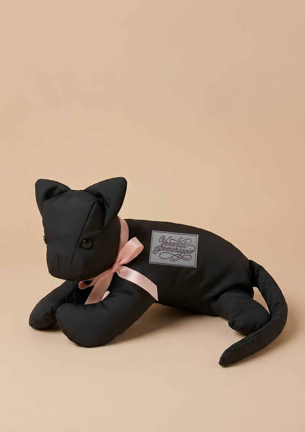 Cat Bag