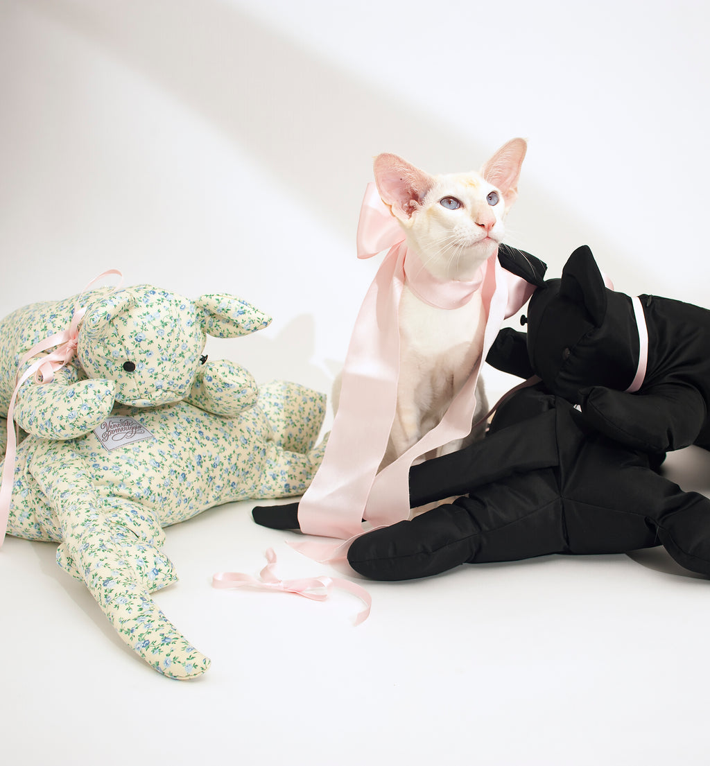 Cat Bag